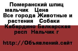 Померанский шпиц, мальчик › Цена ­ 35 000 - Все города Животные и растения » Собаки   . Кабардино-Балкарская респ.,Нальчик г.